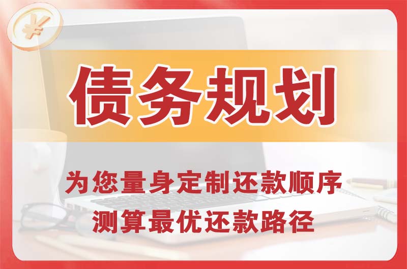 叙永债务规划